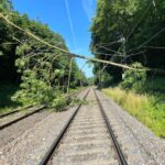 Alarm FEUER – brennender Baum auf Oberleitung Bahnstrecke